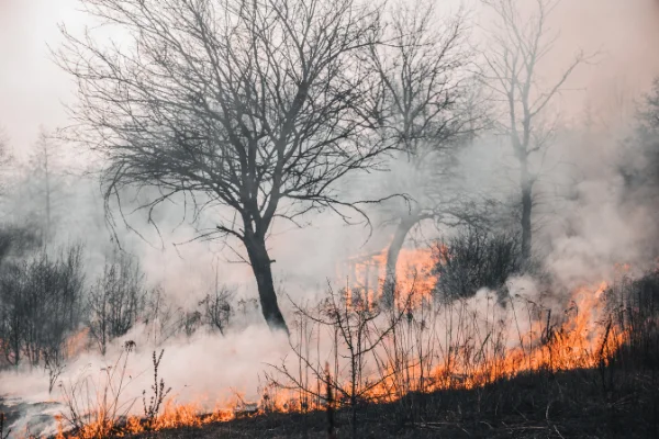 Cos'è un ingegnere antincendio